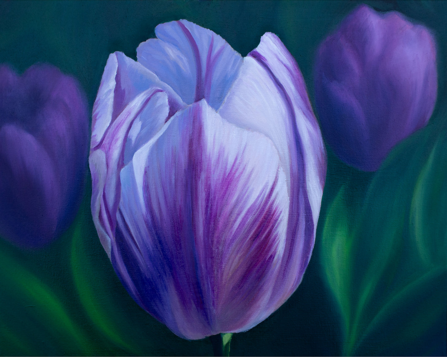 painting of purple tulip with a dark background