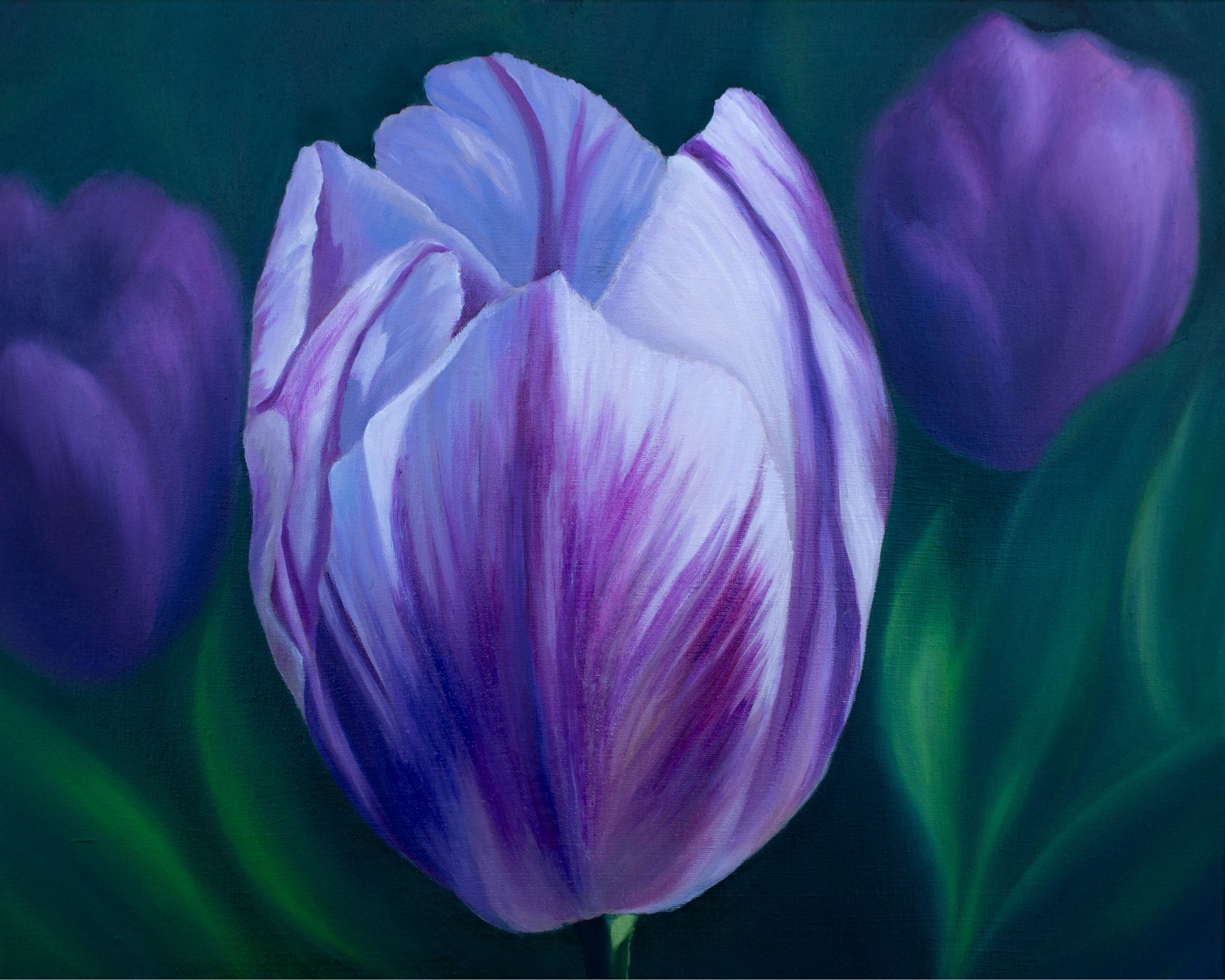painting of purple tulip with a dark background